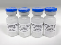 Vials of GMP-grade AV-1980R manufactured by the Gates Biomanufacturing Facility for Institute of Molecular Medicine's phase 1 Alzheimer's Disease Vaccine clinical trials