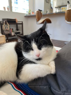 Unable to view the image, Please provide a valid URL.