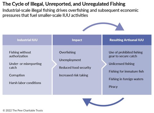 A pesca ilegal em escala industrial ocasiona pesca excessiva e as pressões econômicas subsequentes resultam em atividades ilegais de menor escala, não reportadas e não regulamentadas.