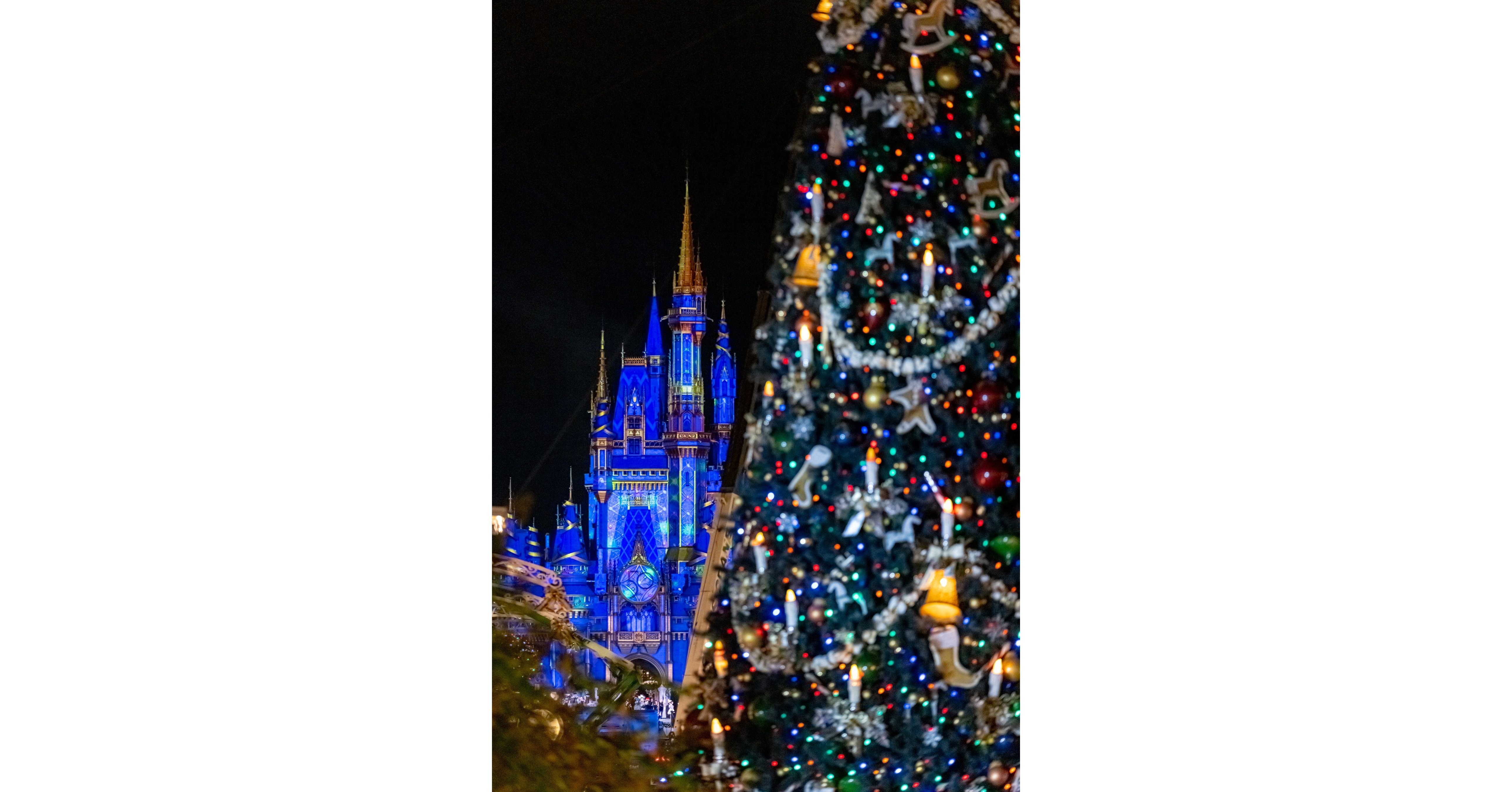 Holidays Have Officially Begun at Walt Disney World Resort