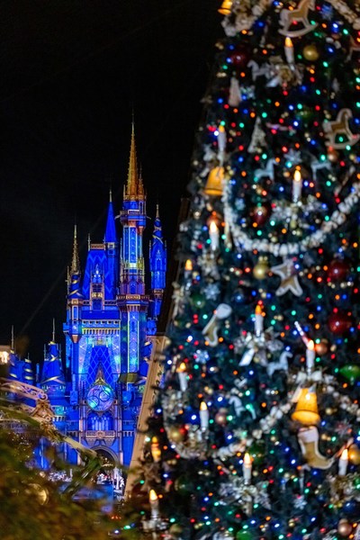 Wondrous décor brings holiday cheer to Magic Kingdom Park on Nov. 2 and kicks off the multi-day transformation at Walt Disney World Resort in Lake Buena Vista, Fla. (Courtney Kiefer, photographer)