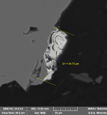 Figure 2. Backscattered electron image of an electrum particle from sample PAR-2. (CNW Group/Outcrop Silver & Gold Corporation)