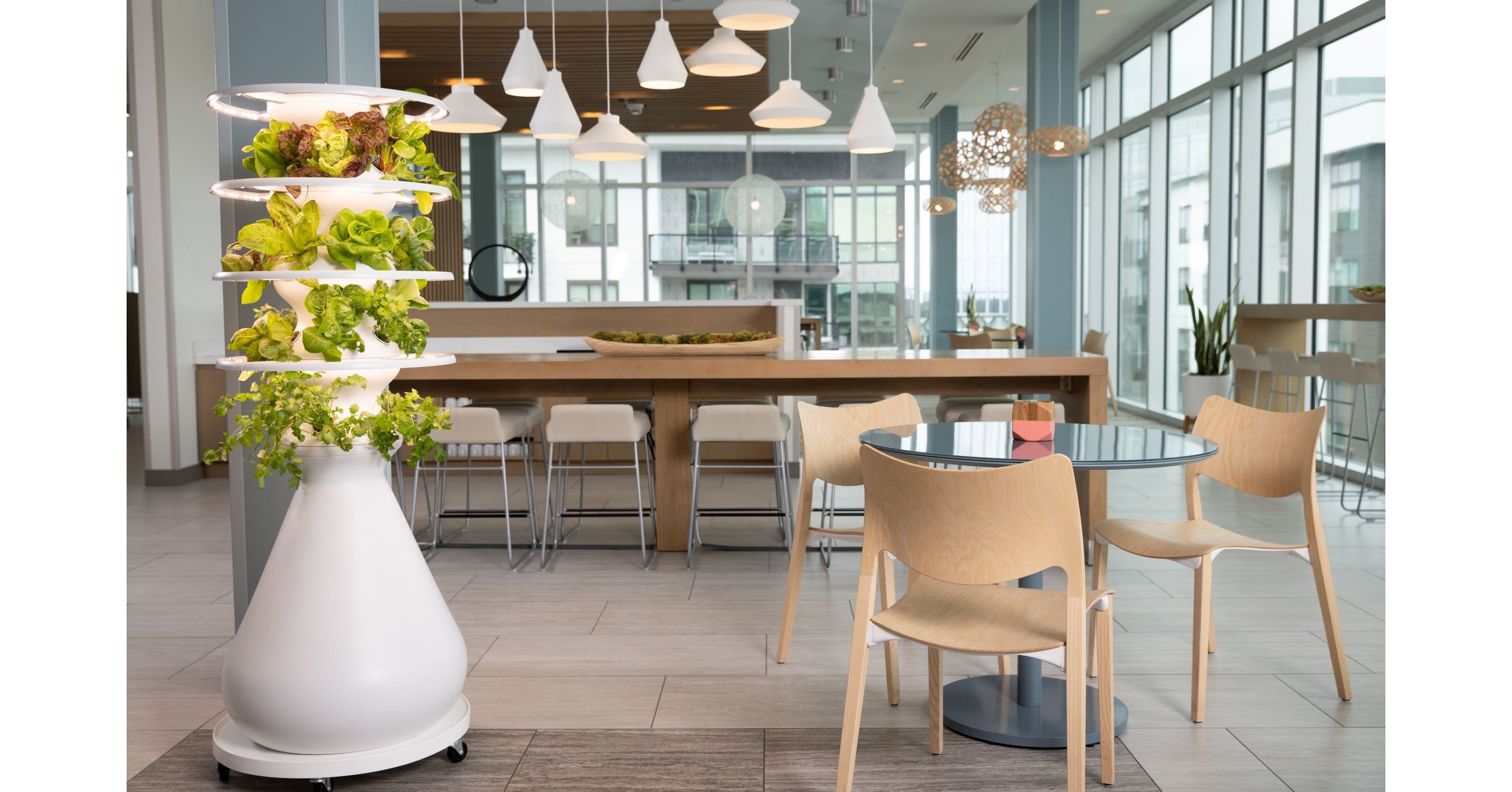 Element Hotels and Lettuce Grow Join Forces to Bring Travelers Fresh and Free Produce on the Go, From Bend to Atlanta - Vimarsana News