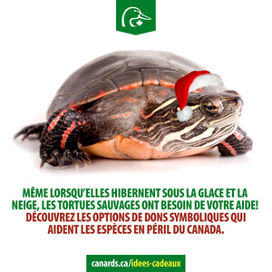 La campagne de dons-cadeaux pour les fêtes met l'accent sur la conservation de l'habitat faunique