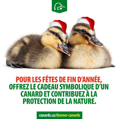 Pour les fetes de fin d'annee, offrez le cadeau symbolique d'un canard et contribuez a la protection de la nature. (Groupe CNW/Canards Illimits Canada)