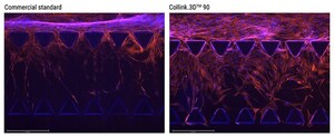 CollPlant Expands rhCollagen-Based Bioink Platform with Launch of Collink.3D™ 90