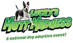 Fifteen Rescue Dogs Find New Homes at Lucky's Mutt Madness During Equip Exposition