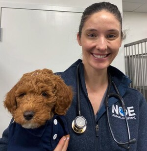 New San Francisco Animal Hospital Opens to Ease the Squeeze on Bay Area Veterinary Services