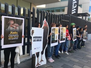 COALICIÓN ENTREGA 30,000 FIRMAS EN TRES PAÍSES PARA QUE JÜSTO RECHACE LAS JAULAS PARA GALLINAS