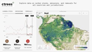 CTrees reveals hidden truths of global forest carbon