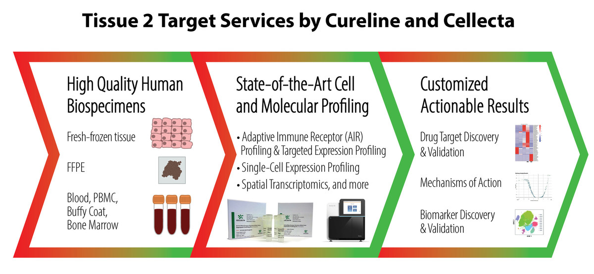 THE CURELINE GROUP and CELLECTA, Inc Partner to Launch Tissue 2 Target™ Services - Vimarsana News