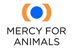 Mercy For Animals urges major restaurant chains to "cheers to choices" in new campaign