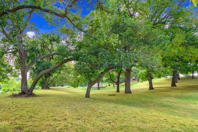Pecan Bluff's 20 acres are carefully maintained, and include many mature oak and pecan trees. Here, a tree swing hangs from a large oak. TexasLuxuryAuction.com.