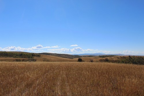 The site of what will be Cedar Creek Wind. Cedar Creek Wind was originally developed by rPlus Energies and acquired by Clearway Energy Group in 2021.