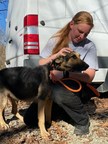 Humane Society of Missouri's Animal Cruelty Task Force Rescues Nine Starving Dogs from a Property in Farmington, Missouri