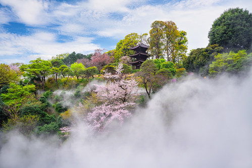 To celebrate its 70th anniversary, Hotel Chinzanso Tokyo, Fujita Kanko Inc.'s flagship hotel, best known for its magnificent vast Japanese garden, has launched special events/programs including Tokyo Sea of Clouds, which offers guests magical experiences and spectacular views throughout the year, combined with the garden's natural beauties in its signature seven seasons: camellia; cherry blossom; fresh green; fireflies; summer breeze; autumn foliage; and winter.