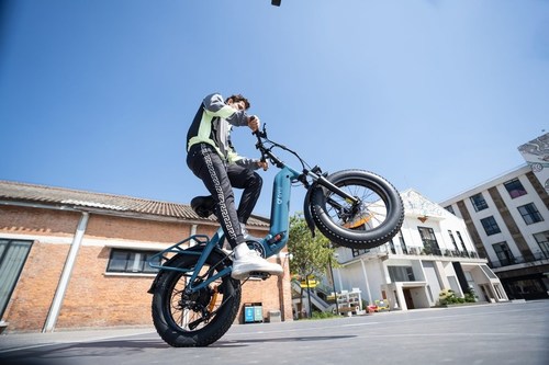 DYU FF500 Electric Bike