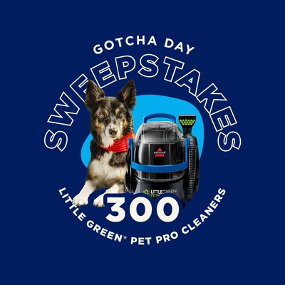 Gotcha Day Sweepstakes