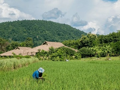 Lexasure Puts Insurance Products in the Palm of Farmers with Flourish