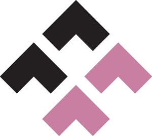 DEI Organization Fearless Futures Launches E-learning Tool Available Worldwide