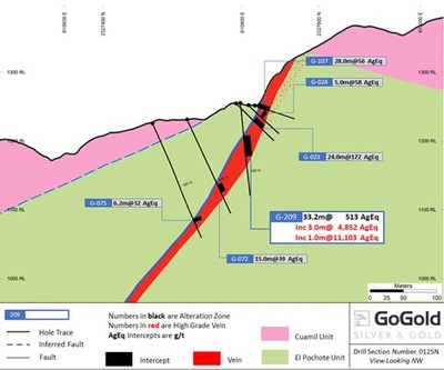 Figure 1: Main Area – Cross Section Hole LRGG-22-209 (CNW Group/GoGold Resources Inc.)