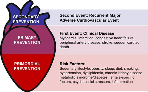 Defining preventive cardiology: A clinical practice statement from the ...