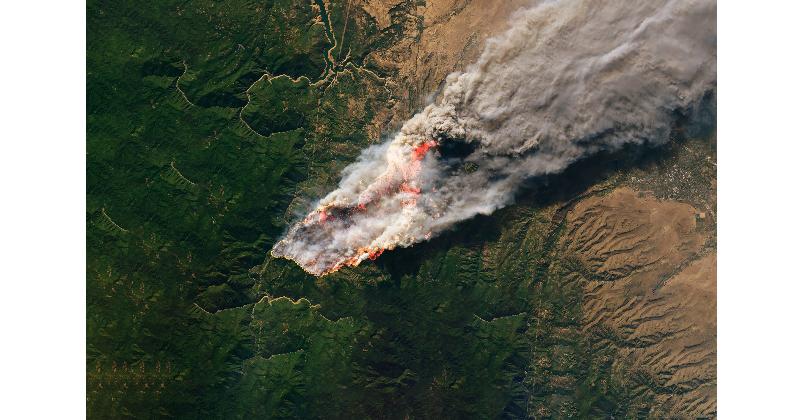 Aumento dos inc&ecirc;ndios florestais &eacute; um risco permanente para mercados globais de carbono