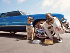 It's a Dog(g)'s Life - Snoop Dogg Enters the Pet Accessory Space with the Launch of Snoop Doggie Doggs
