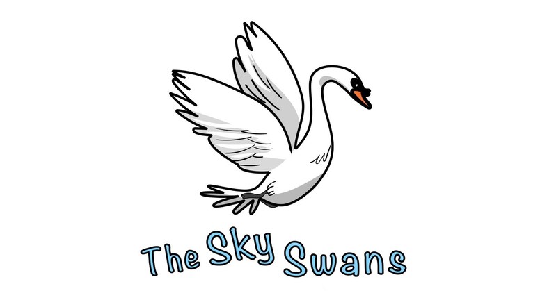 The Sky Swans Announce Launch of Web3 Platform Aimed to Bridge the Gap Between Artists and Consumers