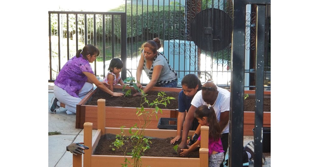 Service-learning model for families receives Congressional Resolution