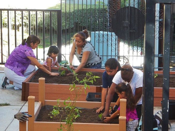 Parenting adults and children planting in a community garden as part of their Family Service Learning project.