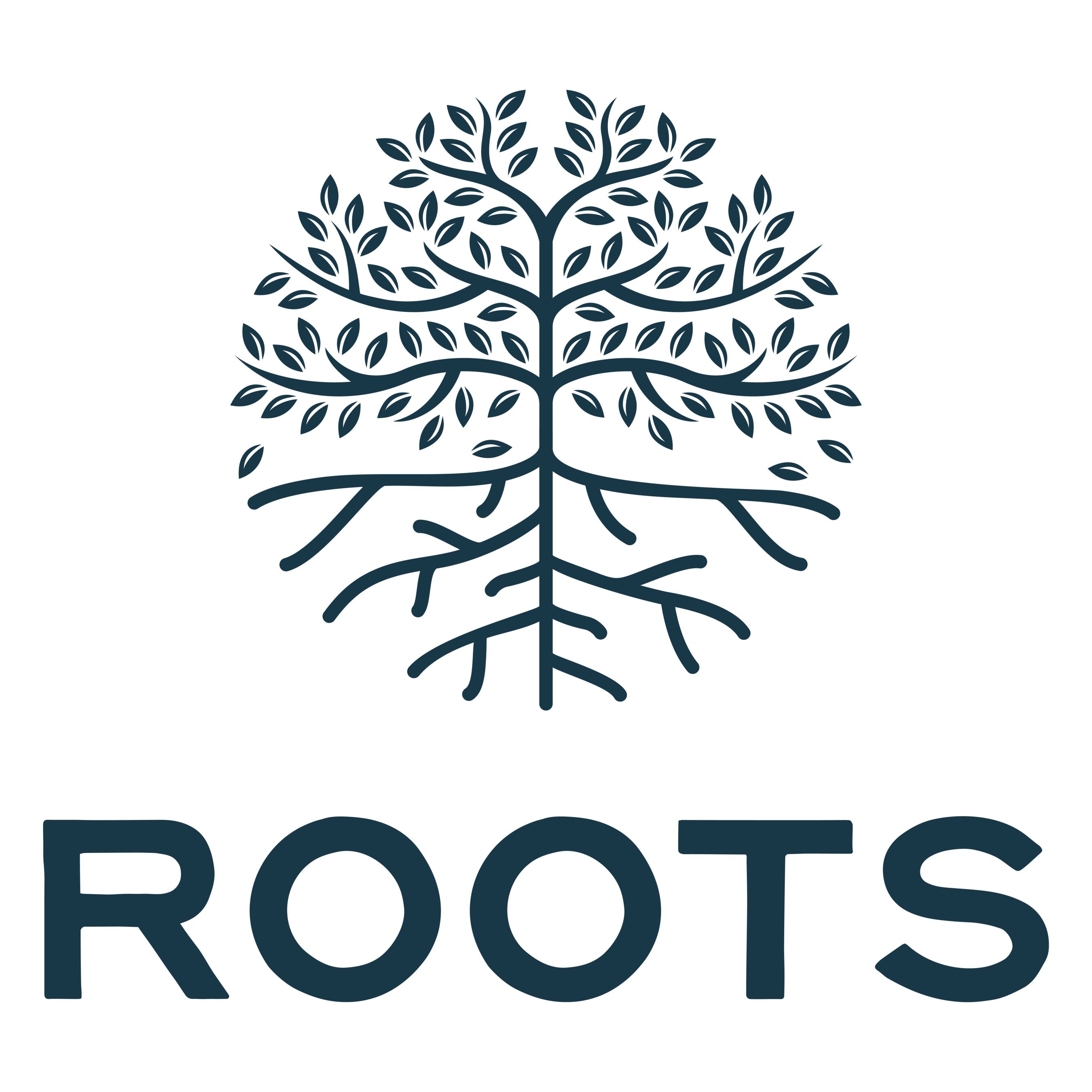ROOTS MANAGEMENT AND RESURRECTION STREET MINISTRIES PARTNER TO PROVIDE THANKSGIVING FOOD FOR NEEDY NEIGHBORS