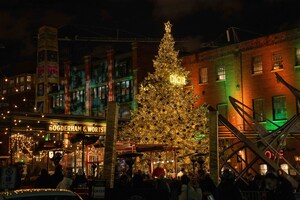 51' TALL CHRISTMAS TREE DESIGNED BY PARFUMS CHRISTIAN DIOR LIGHTS UP AND OFFICIALLY OPENS THE 2022 DISTILLERY WINTER VILLAGE