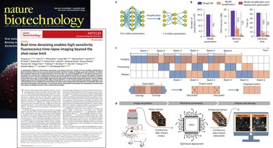 El entorno de trabajo de Deep CAD-RT para la obtención de imágenes de fluorescencia ultrasensible en tiempo real, Tsinghua SIGS (PRNewsfoto/Tsinghua Shenzhen International Graduate School) El entorno de trabajo de Deep CAD-RT para la obtención de imágenes de fluorescencia ultrasensible en tiempo real, Tsinghua SIGS (PRNewsfoto/Tsinghua Shenzhen International Graduate School)