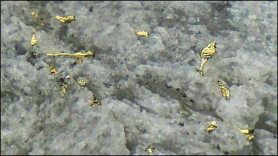 Figure 3:   Visible Gold Disseminated Within a 7cm Crystalline Quartz Vein at the San Marcial SE Area (SMS22-20) (CNW Group/GR Silver Mining Ltd.)