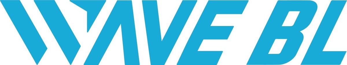 WAVE BL Achieves Unprecedented Growth in Q3 of 2022 - Vimarsana News