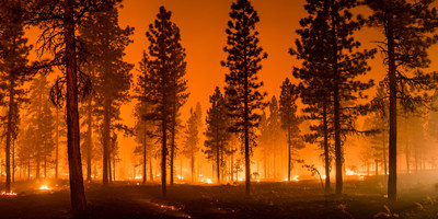 According to National Interagency Fire Center (NIFC) statistics, as of Nov. 18, 2022, more than 62,000 fires have already burned more than 7.3 million acres in the U.S.