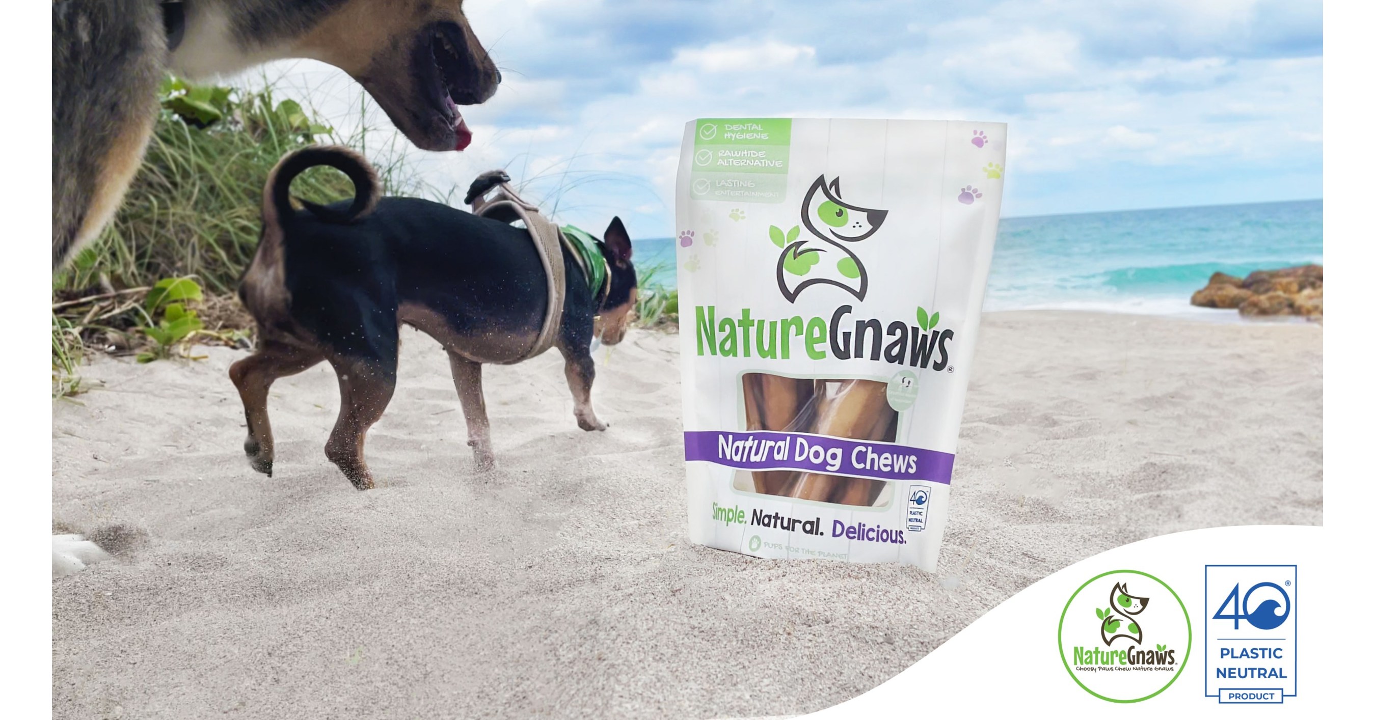 Nature Gnaws Announces Partnership with 4ocean as First Plastic Neutral Dog Chews Brand - Vimarsana News