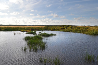 A new partnership between industry, academia and conservation organizations is quantifying the role of wetlands as nature-based climate solutions. (CNW Group/DUCKS UNLIMITED CANADA)