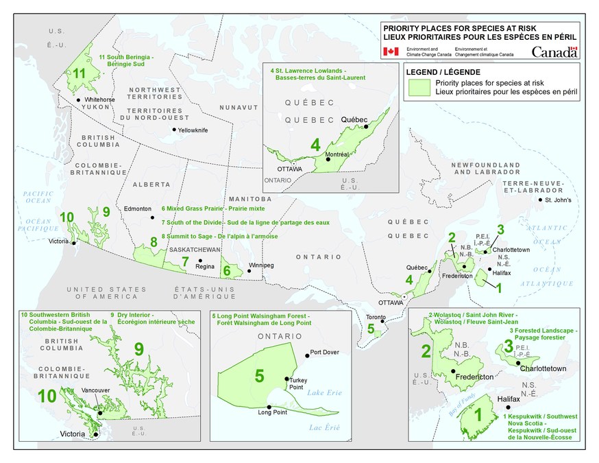 Canada funds 67 new projects to protect species at risk and their habitats - Vimarsana News