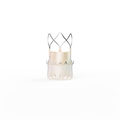 ACURATE neo2™ Aortic Valve System.
