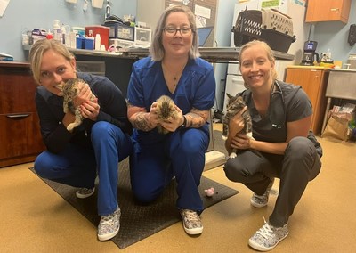 Petco Love and BOBS from Skechers are celebrating the holiday season by gifting 1,000 pairs of BOBS® footwear to shelter employees from Petco Love's extensive network, including these employees at Naples Humane Society.