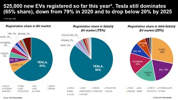 EV registrations share