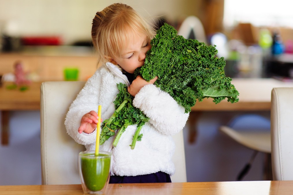 Nutri-tech start-up Novella leverages advanced technology to grow botanical ingredients outside the field - Vimarsana News