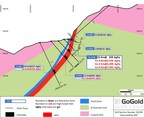 GoGold Announces Additional Excellent Results at Los Ricos South Main and Eagle Areas