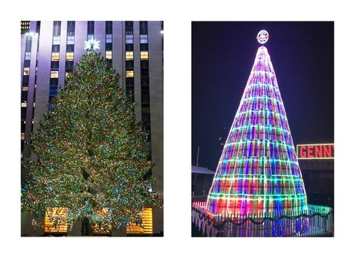 The Rockefeller Tree side by side with Genesee's iconic Keg Tree, which will be lit on Friday, Dec. 2.