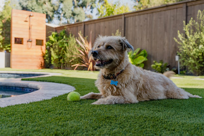 Artificial turf solutions for backyard, pets, residential and commercial playgrounds, landscapes, and sporting surfaces. PC: Artificial Turf Supply