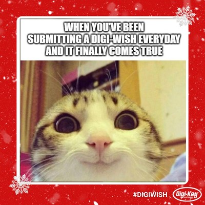 The 2022 DigiWish Giveaway is open from Dec.1-24, 2022.