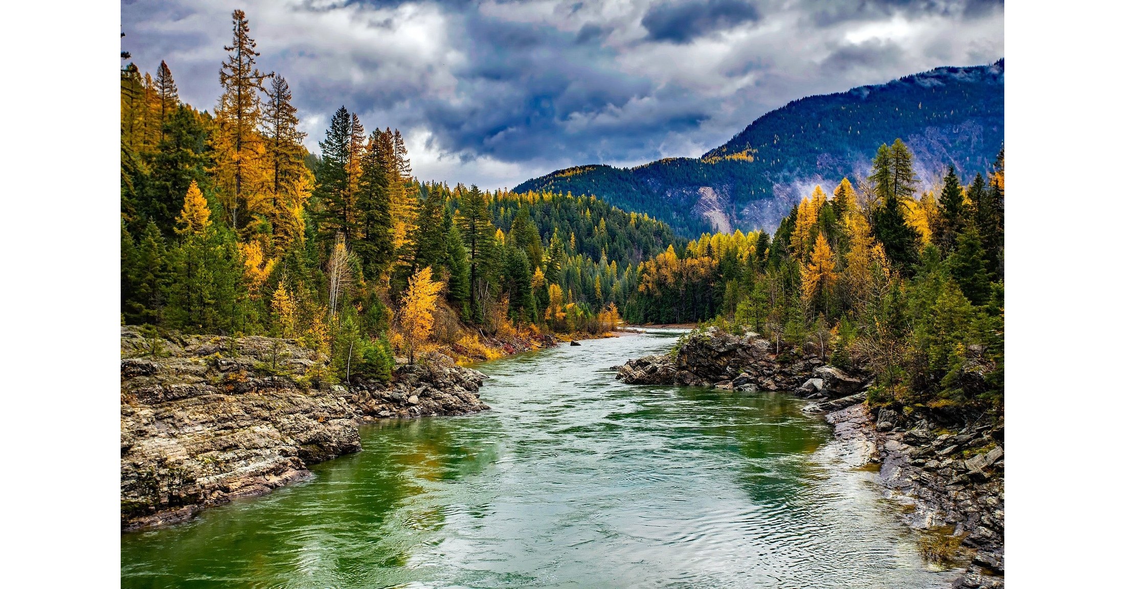 Research and Development of Advanced Therapeutics for Ovarian Cancer Fueling Hope