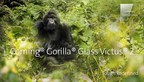 Corning redefines tough with Corning Gorilla Glass Victus 2